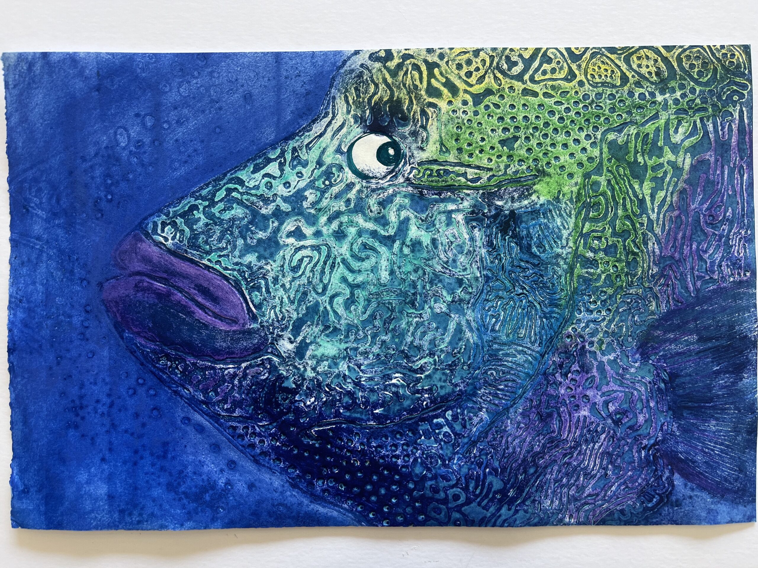 Close up of a large blue fish